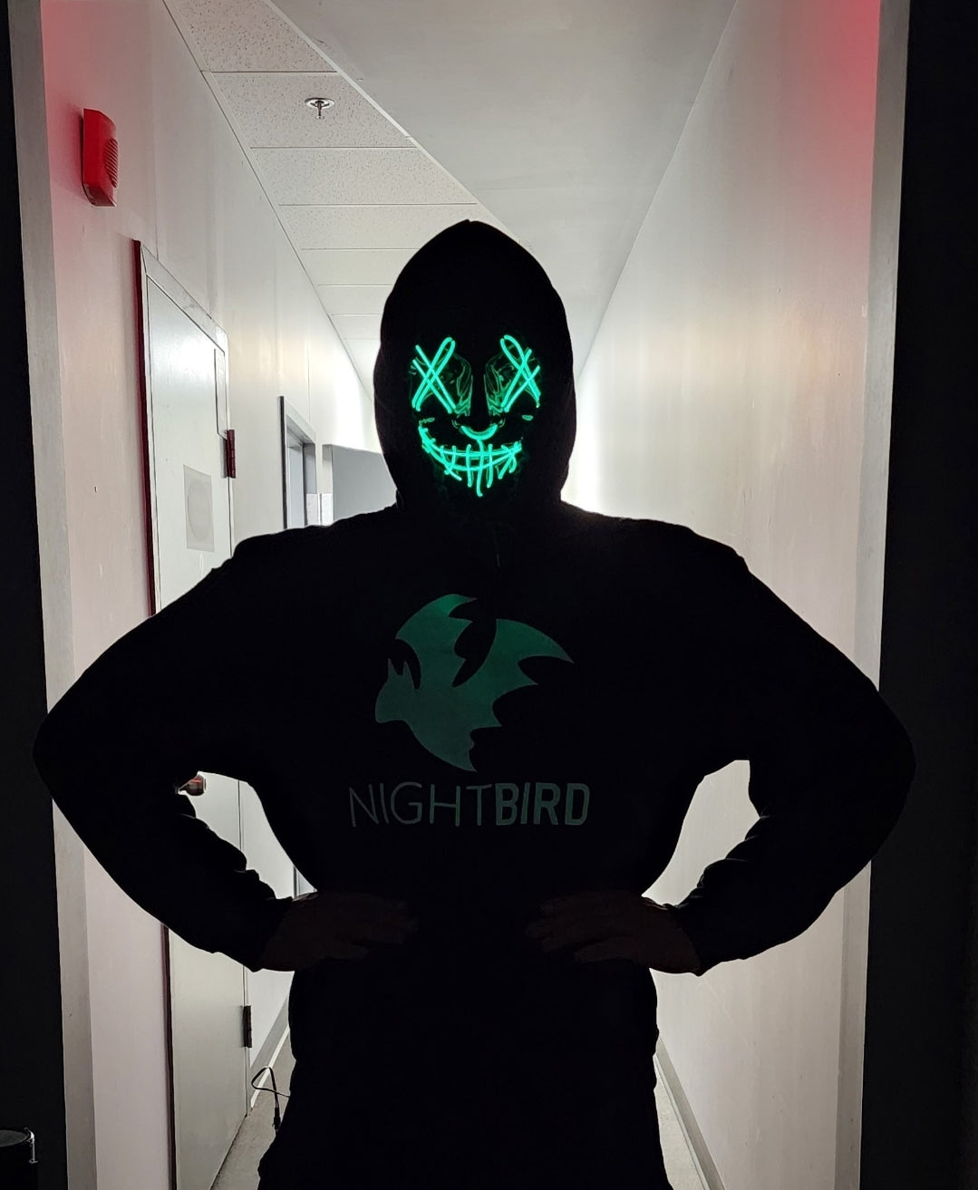 nighbird hoodie