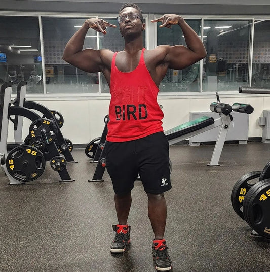 stringer nightbird